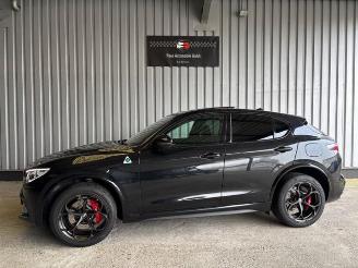  Alfa Romeo Stelvio Quadrifoglio Q4 Carbon / Pano / VOLL 2022/9