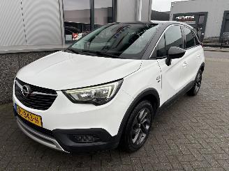 Opel Crossland X 1.2 120 Jaar Edition picture 13