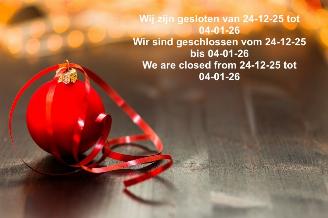 Damaged car Audi  Gesloten van 24-12 tot 04-01-26 2026/1