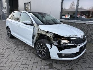 krockskadad bil auto Skoda Rapid 1.2 TSI Greentech Edition 2016/1
