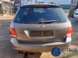 Volkswagen Golf Golf VI Variant (AJ5/1KA), Combi, 2009 / 2013 1.4 TSI 122 16V picture 10