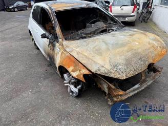 Volkswagen Golf Golf VII (AUA), Hatchback, 2012 / 2021 1.6 TDI 16V picture 10