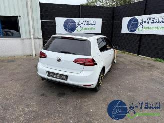 Sloopauto Volkswagen Golf Golf VII (AUA), Hatchback, 2012 / 2021 1.6 TDI 16V 2013/10