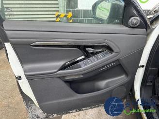 Land Rover Range Rover Range Rover Evoque II (LZC/LZS/LZH), SUV, 2018 2.0 P250 MHEV 16V AWD picture 24