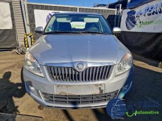 Skoda Fabia Fabia II Combi, Combi 5-drs, 2007 / 2015 1.2 TSI picture 2