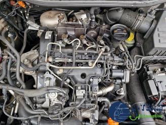 Seat Ibiza Ibiza ST (6J8), Combi, 2010 / 2016 1.2 TDI Ecomotive picture 20