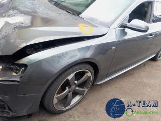 Audi 50 A5 Sportback (8TA), Liftback, 2009 / 2017 2.0 TDI 16V picture 11