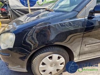 Volkswagen Polo Polo IV (9N1/2/3), Hatchback, 2001 / 2012 1.2 picture 21