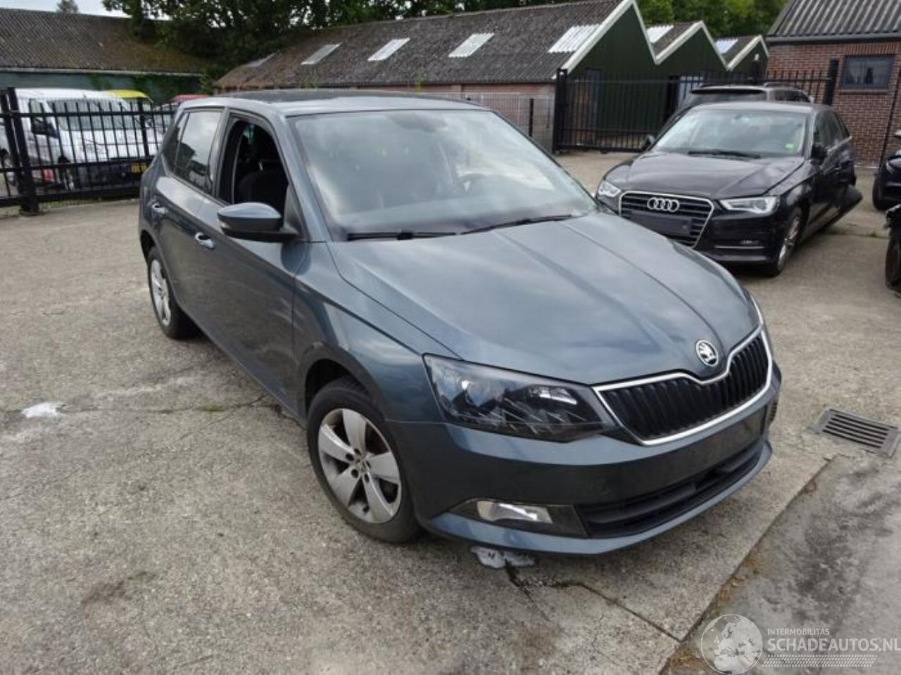 Skoda Fabia Fabia III (NJ3), Hatchback 5-drs, 2014 / 2021 1.2 TSI 16V