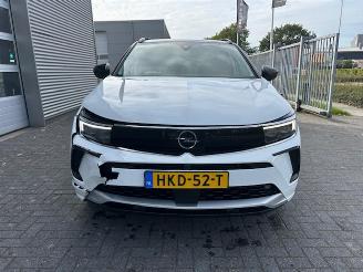 Opel Grandland 1.2 Turbo Level 3 picture 7