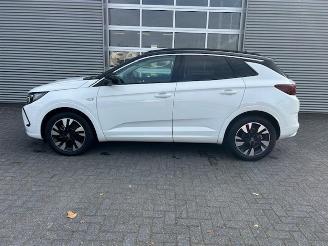 Opel Grandland 1.2 Turbo Level 3 picture 12