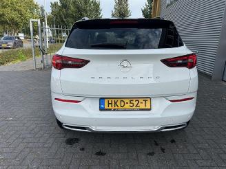 Opel Grandland 1.2 Turbo Level 3 picture 14