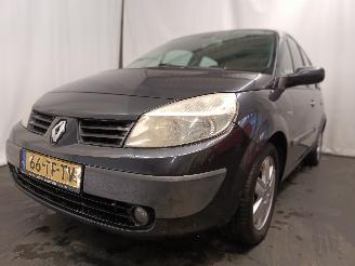 škoda osobní automobily Renault Scenic Grand Scénic II (JM) MPV 2.0 16V (F4R-770(Euro 4)) [99kW]  (04-2004/=
06-2009) 2006/8