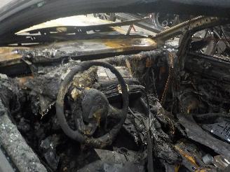 Volkswagen Golf Golf VIII (CD1) Hatchback 2.0 TSI R 16V 4Motion (DNFG) [235kW]  (09-20=
20/...) picture 5