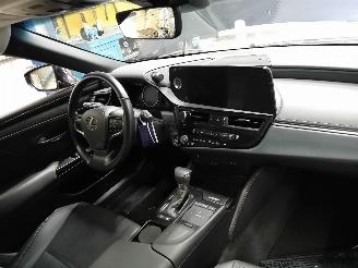 Lexus ES ES Sedan 300h 2.5 16V (A25A-FXS) [160kW]  (07-2018/...) picture 5