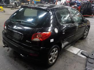 Peugeot 206+ 206+ (2L/M) Hatchback 1.4 XS (TU3JP(KFW)) [55kW]  (01-2009/08-2013) picture 3