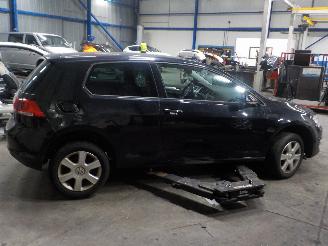 Volkswagen Golf Golf VII (AUA) Hatchback 1.6 TDI 16V (CLHA) [77kW]  (08-2012/03-2020) picture 3