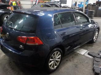 Volkswagen Golf Golf VII (AUA) Hatchback 1.6 TDI BlueMotion 16V (CXXB) [81kW]  (12-201=
4/03-2020) picture 3