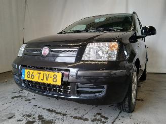 Avarii autoturisme Fiat Panda Panda (169) Hatchback 1.2, Classic (169.A.4000(Euro 5)) [51kW]  (03-20=
10/08-2013) 2012/2