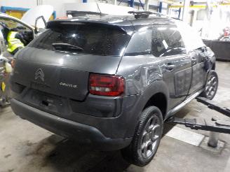 Citroën C4 C4 Cactus (0B/0P) Hatchback 5-drs 1.2 PureTech 82 12V (EB2F(HMZ)) [60k=
W]  (09-2014/...) picture 3