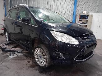 Ford Grand C-Max Grand C-Max (DXA) MPV 1.0 Ti-VCT EcoBoost 12V 125 (M1DA(Euro 5)) [92kW=
]  (10-2012/06-2019) picture 2
