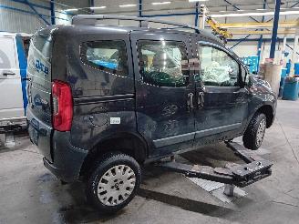 Citroën Nemo Nemo Combi (AJ) MPV 1.4 (TU3A/L5(KFV)) [54kW]  (04-2009/...) picture 3