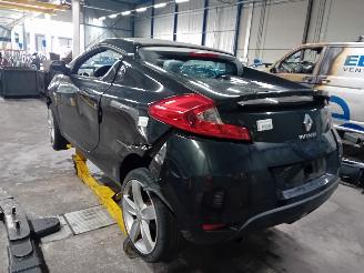 Renault Wind Wind (EN/E4) Cabrio 1.2 16V TCE (D4F-782(D4F-K7)) [74kW]  (07-2010/06-=
2013) picture 4