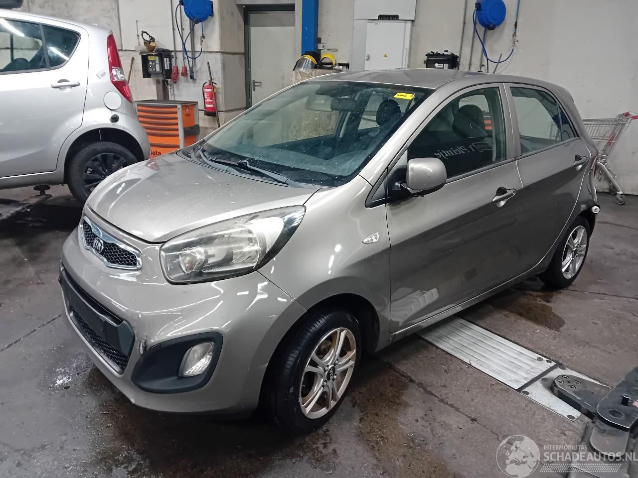 Kia Picanto Picanto (TA) Hatchback 1.0 12V (G3LA) [51kW]  (05-2011/06-2017)