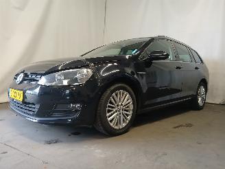 Volkswagen Golf Golf VII Variant (AUVV) Combi 1.6 TDI BlueMotion 16V (CRKB) [81kW]  (0=
5-2013/12-2020) picture 3