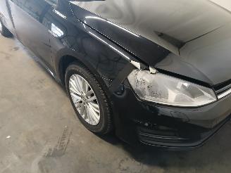 Volkswagen Golf Golf VII Variant (AUVV) Combi 1.6 TDI BlueMotion 16V (CRKB) [81kW]  (0=
5-2013/12-2020) picture 26