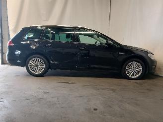Volkswagen Golf Golf VII Variant (AUVV) Combi 1.6 TDI BlueMotion 16V (CRKB) [81kW]  (0=
5-2013/12-2020) picture 7