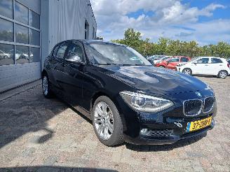 BMW 1-serie 1 serie (F20) Hatchback 5-drs 116i 1.6 16V (N13-B16A) [100kW]  (07-201=
1/02-2015) picture 6