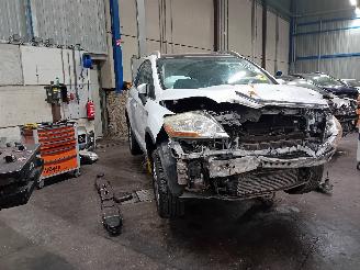 Ford Kuga Kuga I SUV 2.5t AWD 20V (HYDB(Euro 5)) [147kW]  (02-2008/11-2012) picture 2