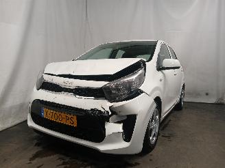 škoda osobní automobily Kia Picanto Picanto (JA) Hatchback 1.0 DPI 12V (G3LD) [46kW]  (05-2024/...) 2024/1