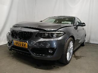 Auto incidentate BMW 2-serie 2 serie (F22) Coupé 218i 1.5 TwinPower Turbo 12V (B38-B15A) [100kW] =
 (03-2015/06-2021) 2018/5
