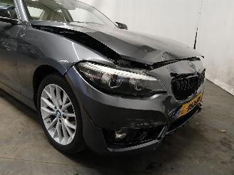 BMW 2-serie 2 serie (F22) Coupé 218i 1.5 TwinPower Turbo 12V (B38-B15A) [100kW] =
 (03-2015/06-2021) picture 29