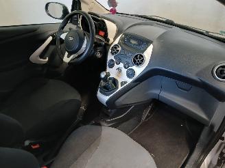 Ford Ka Ka II Hatchback 1.2 (169.A.4000(Euro 4; Euro 5)) [51kW]  (10-2008/05-2=
016) picture 8