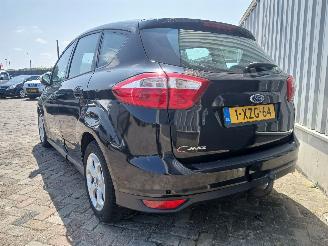 Ford C-Max C-Max (DXA) MPV 1.0 Ti-VCT EcoBoost 12V 125 (M1DA(Euro 5)) [92kW]  (10=
-2012/06-2019) picture 5