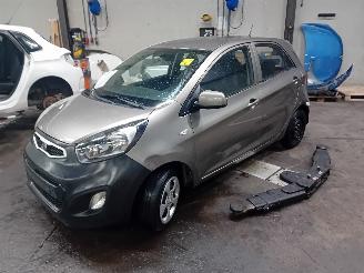 Vrakbiler auto Kia Picanto Picanto (TA) Hatchback 1.0 12V (G3LA) [51kW]  (05-2011/06-2017) 2013/9