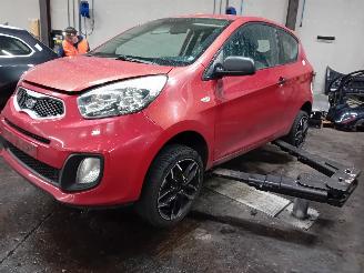 Vrakbiler auto Kia Picanto Picanto (TA) Hatchback 1.2 16V (G4LA5) [63kW]  (09-2011/06-2017) 2012/3