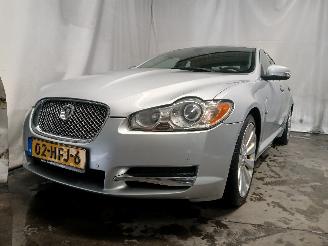 Coche accidentado Jaguar XF XF (CC9) Sedan 2.7 D V6 24V (7G(AJ-TDV6)) [152kW]  (03-2008/04-2015) 2008/6