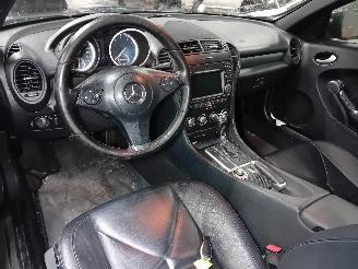 Mercedes SLK SLK (R171) Cabrio 1.8 200 K 16V (M271.954) [135kW]  (01-2008/02-2011) picture 5