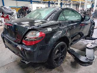 Mercedes SLK SLK (R171) Cabrio 1.8 200 K 16V (M271.954) [135kW]  (01-2008/02-2011) picture 3