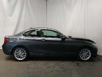 BMW 2-serie 2 serie (F22) Coupé 218i 1.5 TwinPower Turbo 12V (B38-B15A) [100kW] =
 (03-2015/06-2021) picture 7