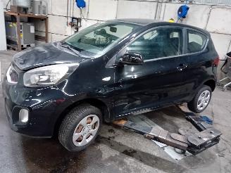 Vrakbiler auto Kia Picanto Picanto (TA) Hatchback 1.0 12V (G3LA) [51kW]  (05-2011/06-2017) 2012/8