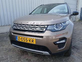 Avarii autoturisme Land Rover Discovery Discovery Sport (LC) Terreinwagen 2.0 TD4 180 16V (204DTD(AJ20D4)) [13=
2kW]  (06-2015/...) 2016/11