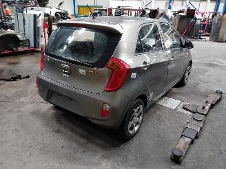 Kia Picanto Picanto (TA) Hatchback 1.0 12V (G3LA) [51kW]  (05-2011/06-2017) picture 3