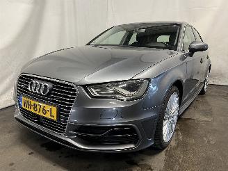 Unfallwagen Audi A3 A3 Sportback (8VA/8VF) Hatchback 5-drs 1.4 TFSI 16V e-tron (CUKB(Euro =
6)) [150kW]  (05-2014/10-2020) 2015/11