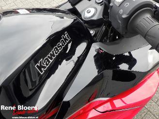 Kawasaki  Ninja 1000 SX picture 22