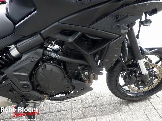 Kawasaki Versys 650 picture 18